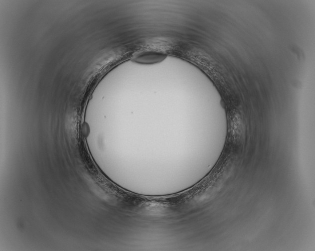 X0000113120352200909251117