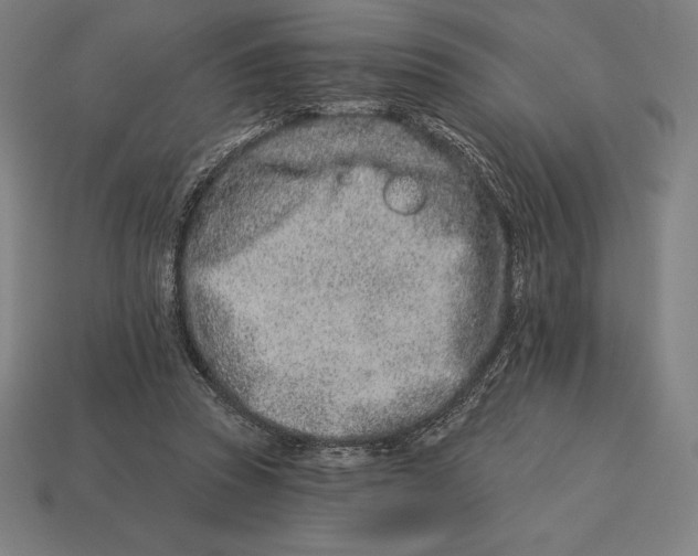 X0000113120353200909251117