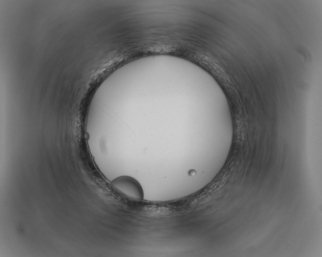 X0000113120354200909251117