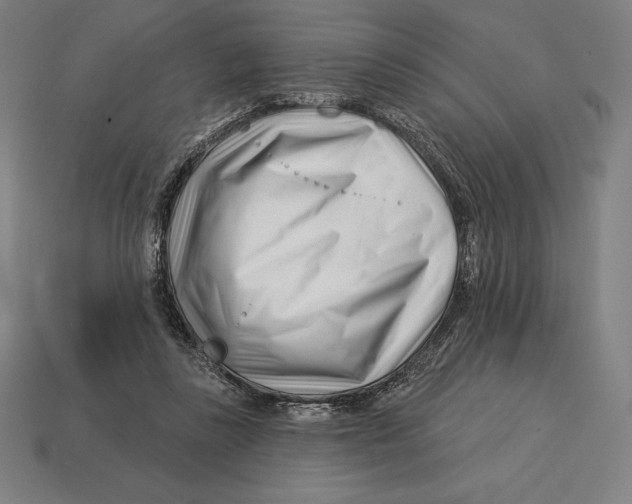 X0000113120355200909251117