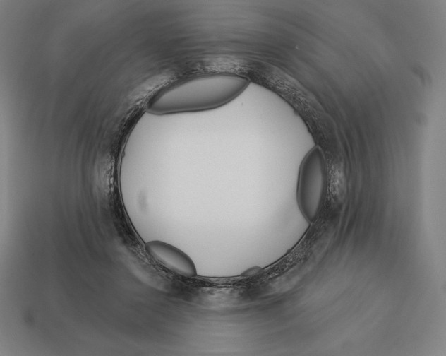 X0000113120356200909251117