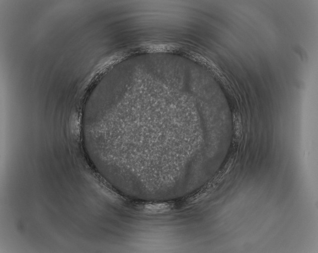 X0000113120357200909251117