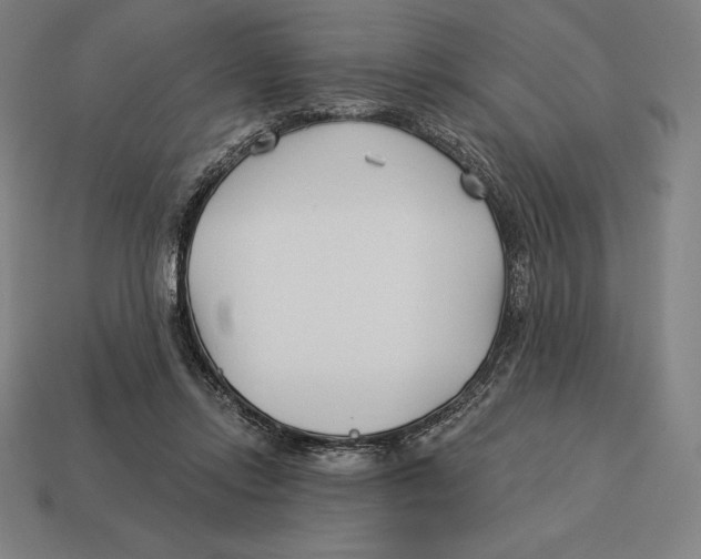 X0000113120358200909251117
