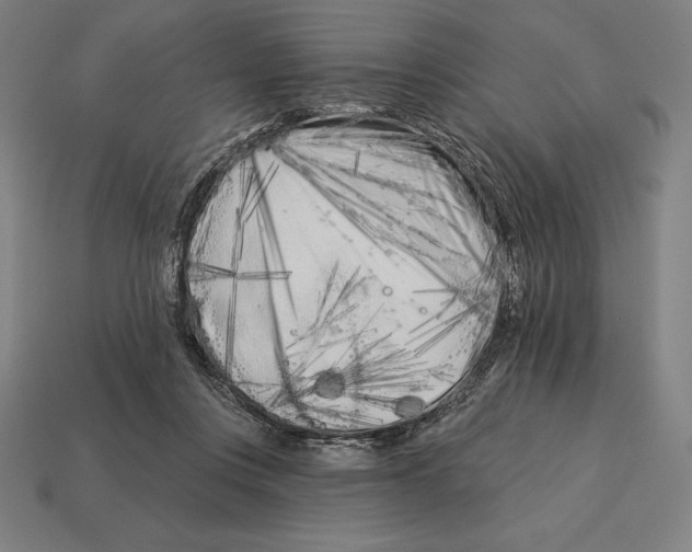 X0000113120359200909251117