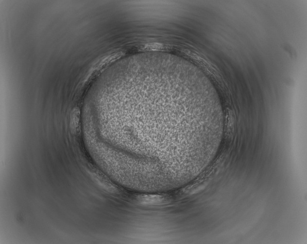 X0000113120361200909251117