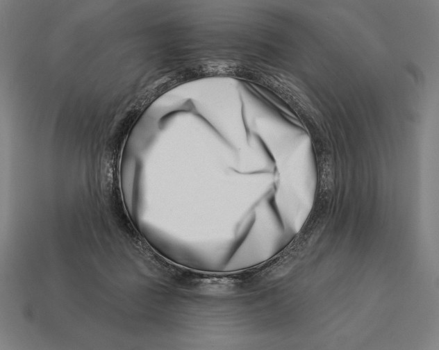 X0000113120363200909251117