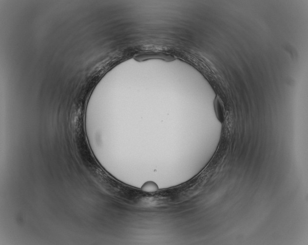 X0000113120364200909251117