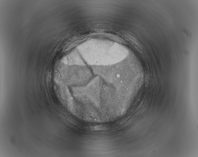X0000113120365200909251117