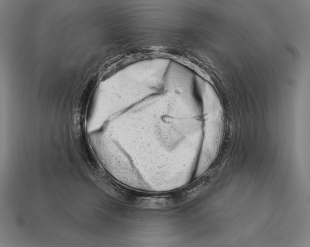 X0000113120366200909251117