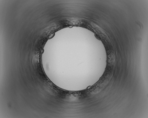 X0000113120368200909251117