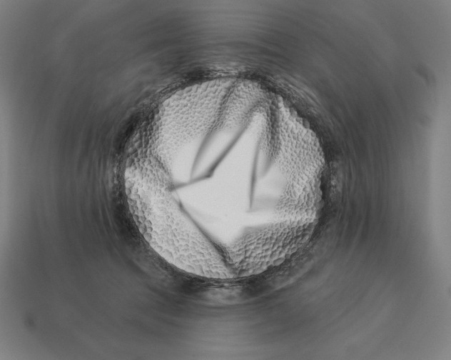 X0000113120369200909251117