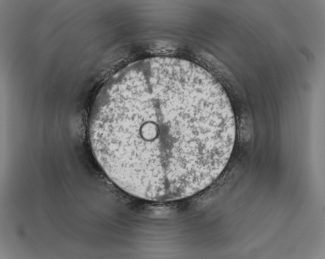 X0000113120370200909251117