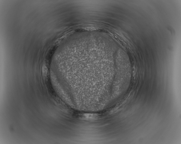 X0000113120371200909251117