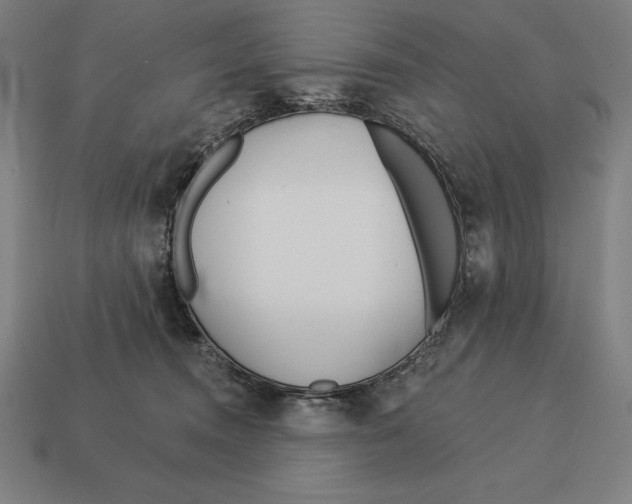 X0000113120372200909251117