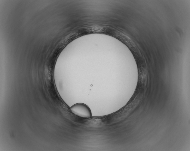 X0000113120374200909251118