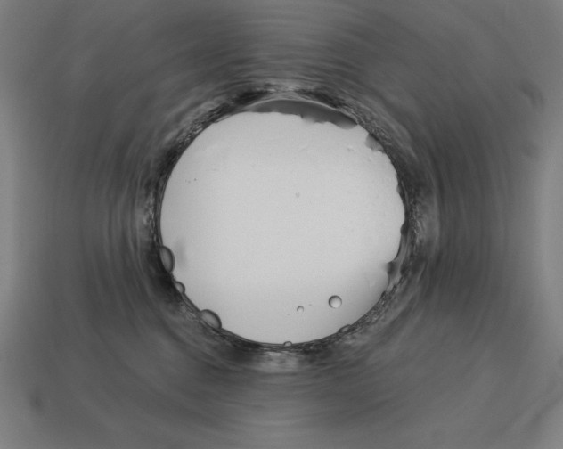X0000113120376200909251118