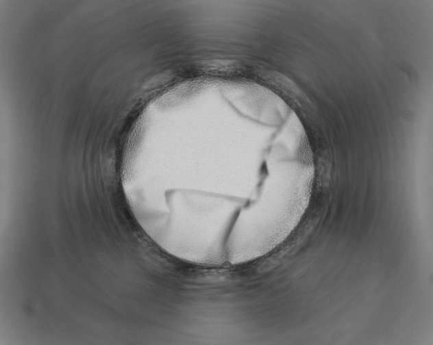 X0000113120377200909251118