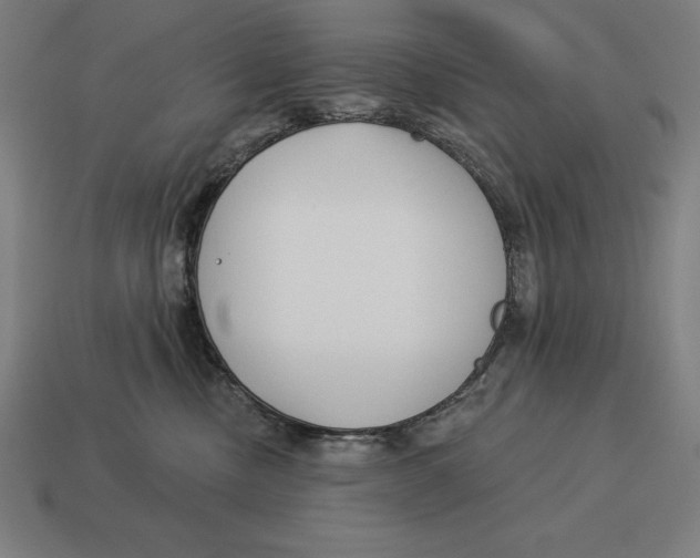 X0000113120378200909251118