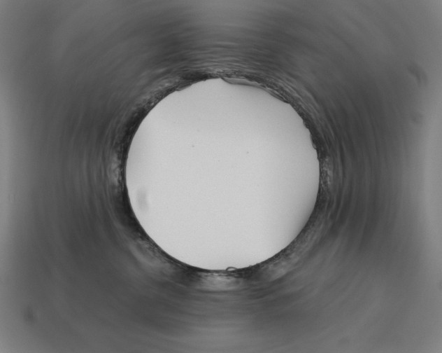 X0000113120380200909251118