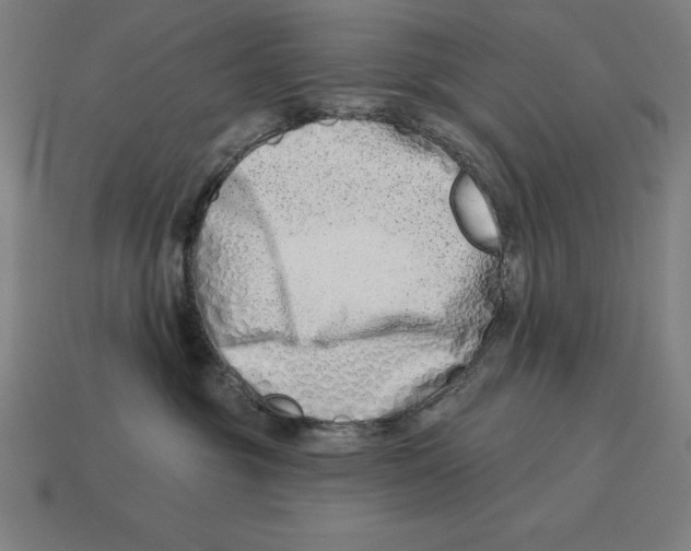 X0000113120381200909251118
