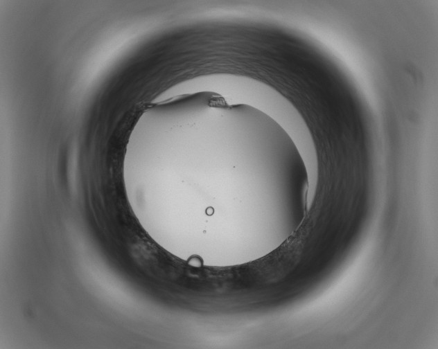 X0000113120382200909251118