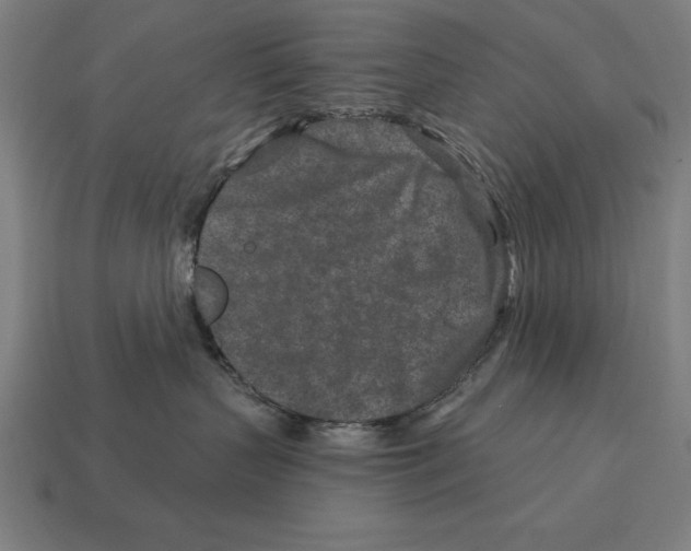 X0000113120383200909251118