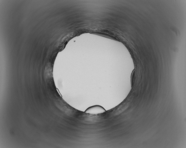 X0000113120384200909251118