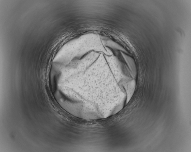 X0000113120386200909251117