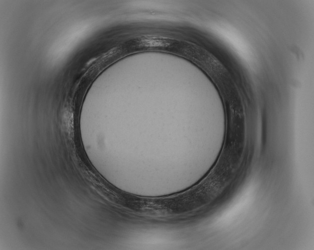 X0000113120387200909251117
