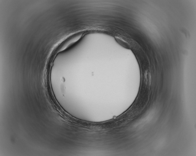 X0000113120388200909251117