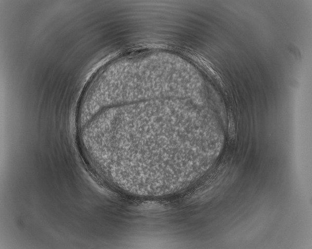 X0000113120390200909251117
