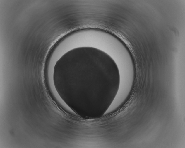 X0000113120391200909251117