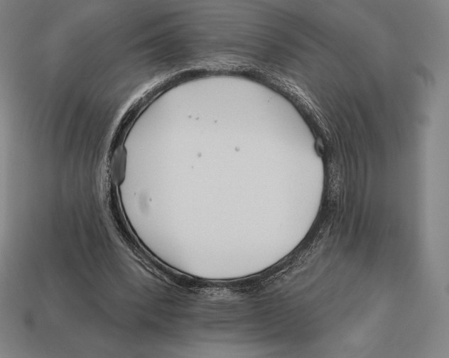 X0000113120392200909251117