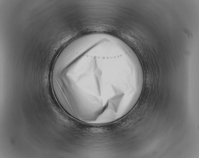 X0000113120394200909251117