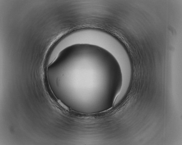 X0000113120395200909251117