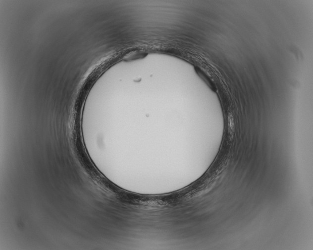 X0000113120396200909251117