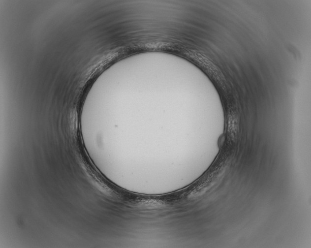 X0000113120397200909251117