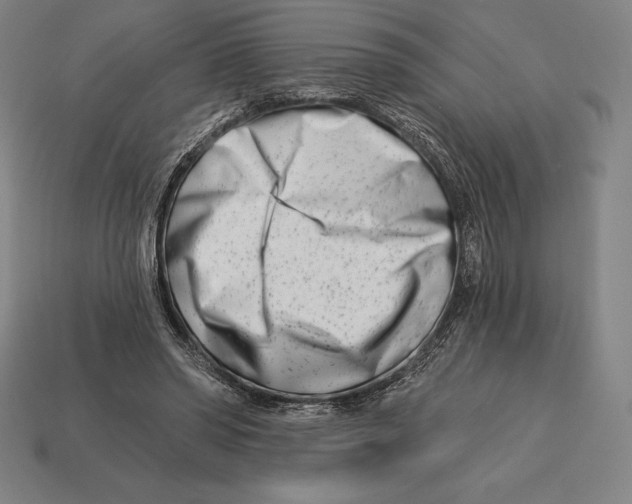 X0000113120398200909251117