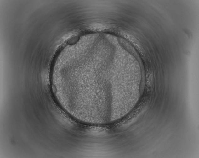X0000113120399200909251117