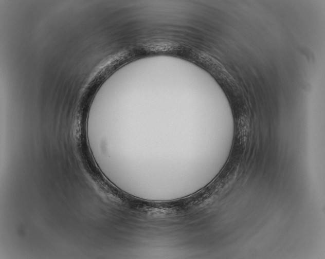 X0000113120400200909251117