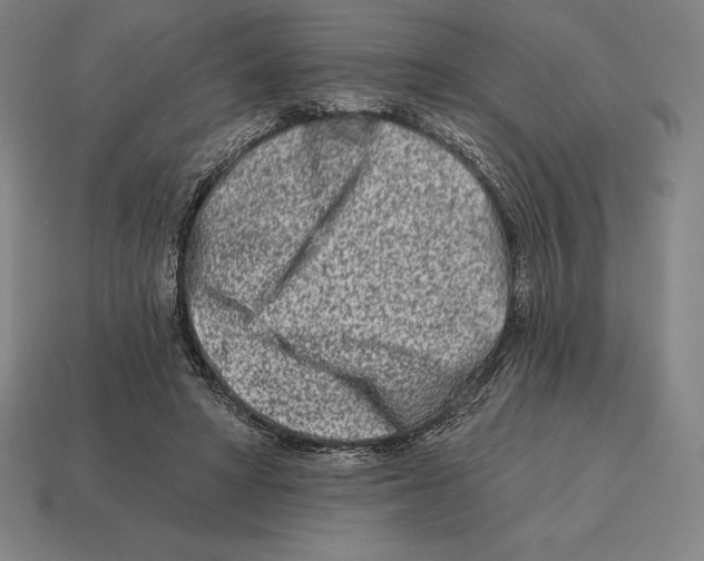 X0000113120402200909251117