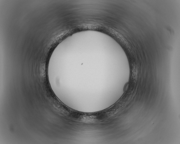 X0000113120403200909251117