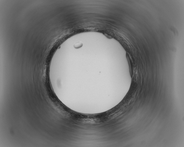 X0000113120404200909251117