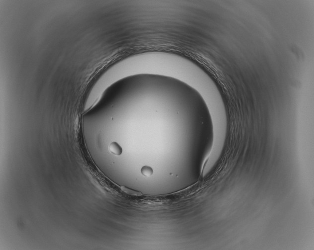 X0000113120405200909251117