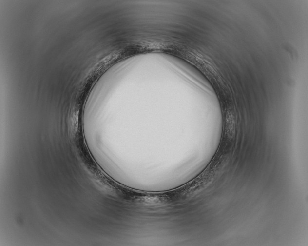 X0000113120406200909251117