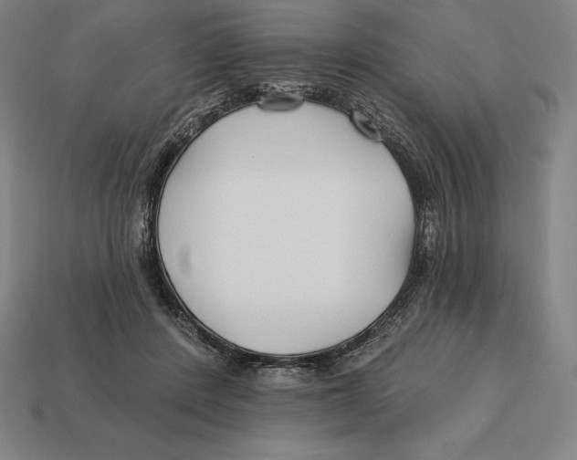 X0000113120408200909251117