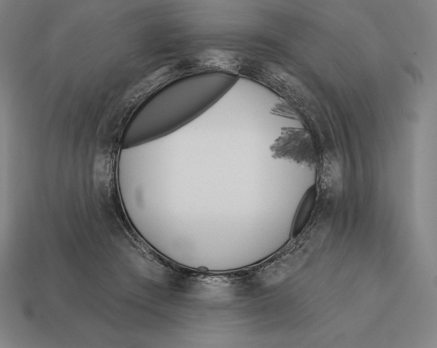 X0000113120409200909251117