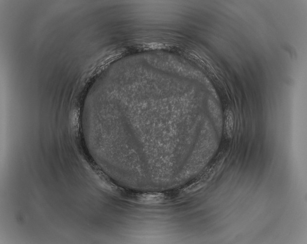 X0000113120410200909251117