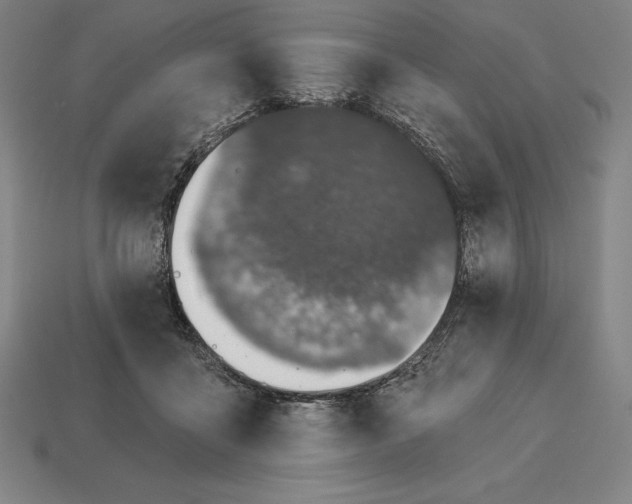 X0000113120411200909251117