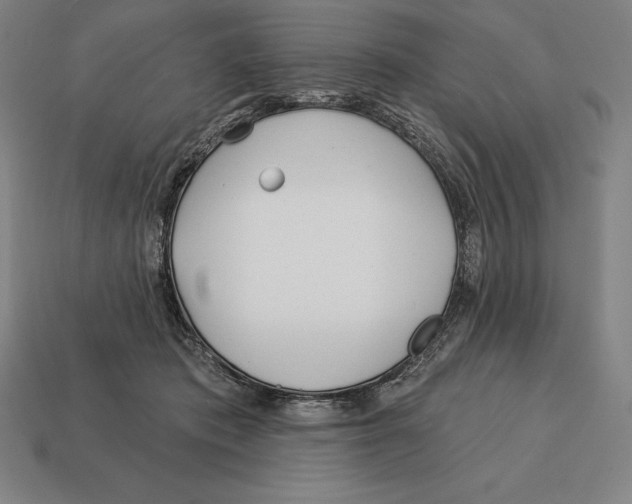 X0000113120413200909251116
